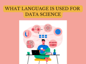 Read more about the article What language is used for data science