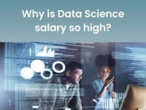 Read more about the article Why is Data Science salary so high?