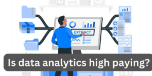 Read more about the article Is data analytics high paying?