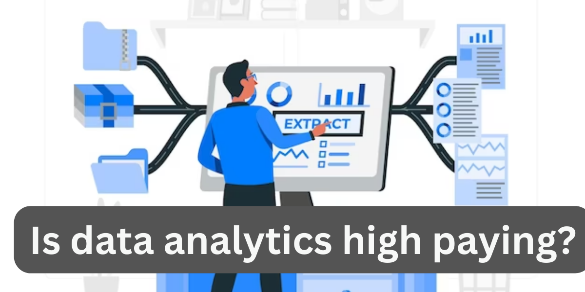 Read more about the article Is data analytics high paying?