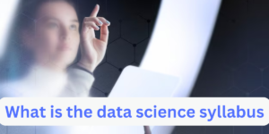 Read more about the article What is the data science syllabus