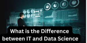 Read more about the article What is the Difference between IT and Data Science